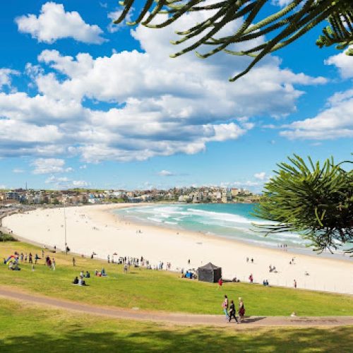 Best Beaches in Sydney - The Complete Guide